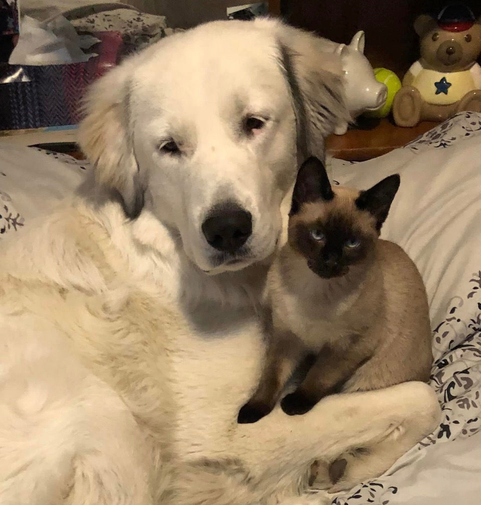 Max and Pepper together showing their funny duo personality.