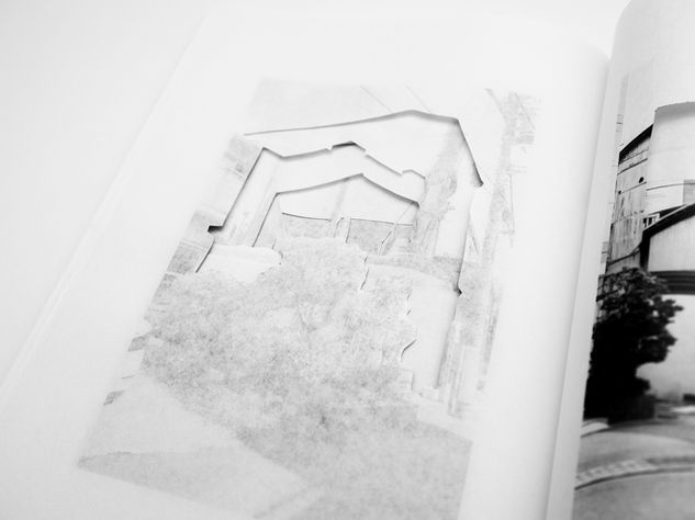 todaysislandbook_DSF3812.jpg