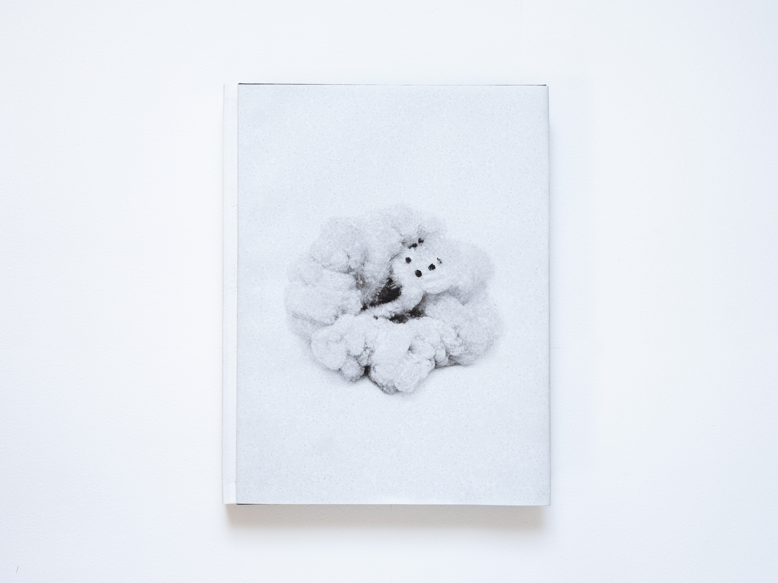 Photobooks by Moe Suzuki