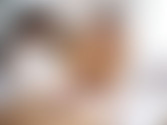 estate planning real estate trust Illinois family property transfer