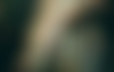 Ringkasan Sharing Firman PERDO 1 Maret 2019