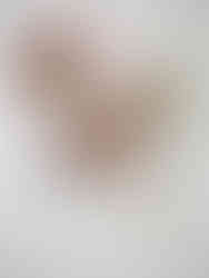 製作中のシャツの襟と茶蝶貝のボタン