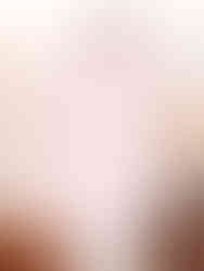 結婚式のためのシャツ