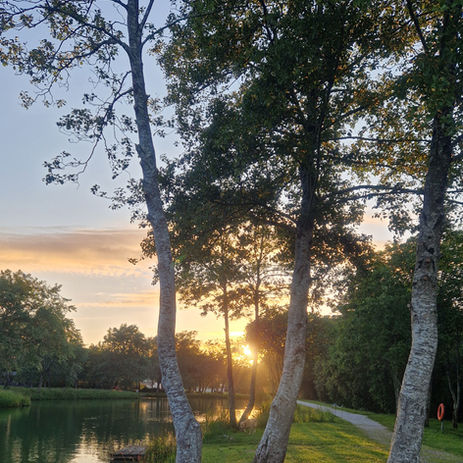 Lake View Holidays at White Acres 24