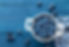 blueberry-PSNCFJC_edited.jpg