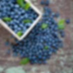 Blueberry Central Market