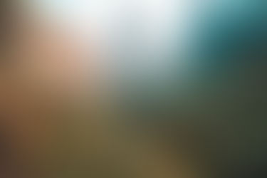 Travel Essentials for your Every Need