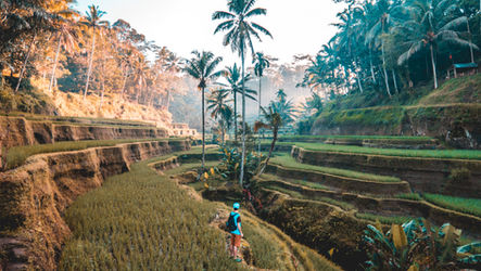 Travel Essentials for your Every Need