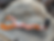Thumbnail: Logrite Milo Tongs- OWTM