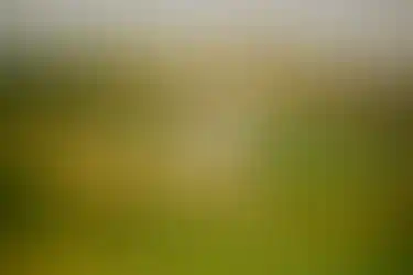 IGT_Golf104.webp