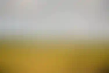 IGT_Golf067.webp