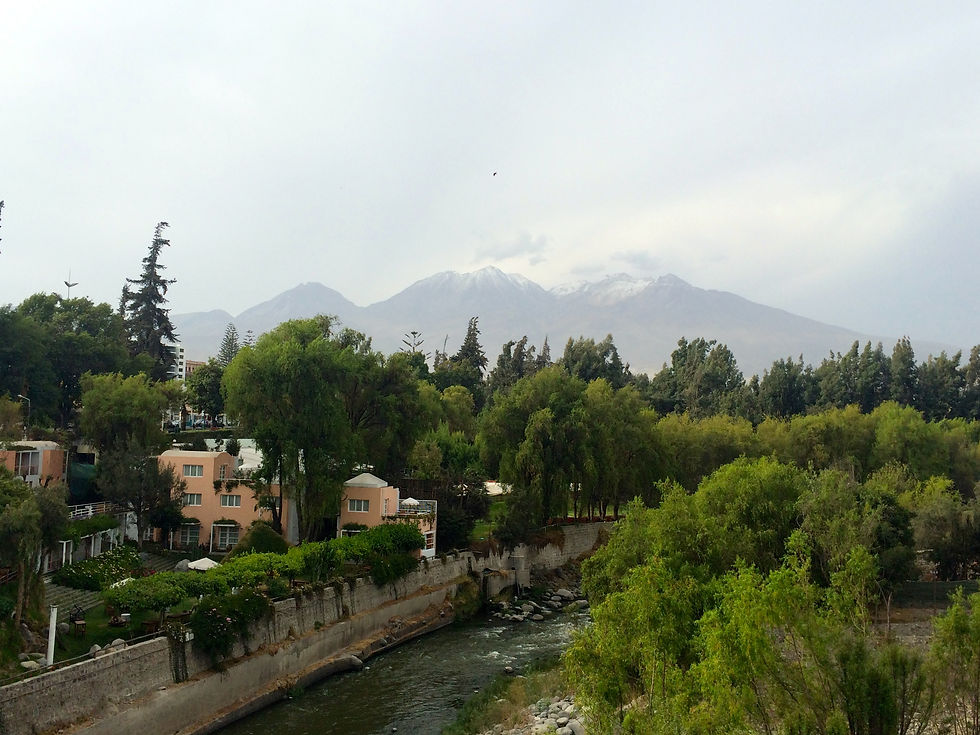 IMG_1508.JPG