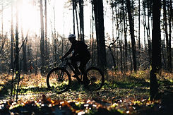 Lumberjack D1-22.jpg