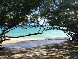 Koh Tao
