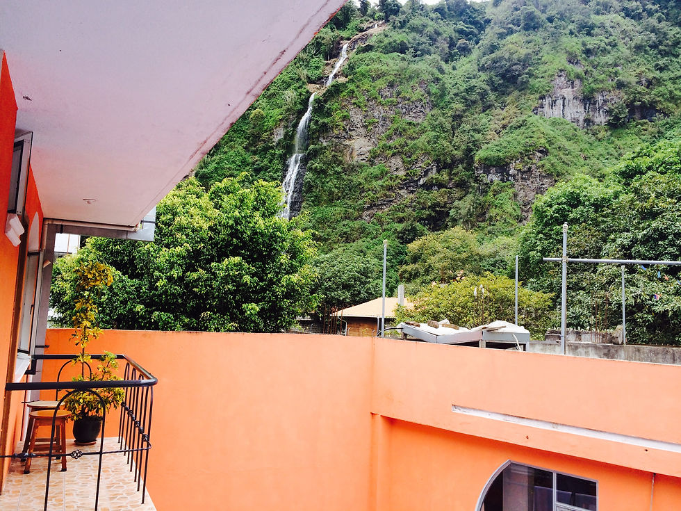 IMG_2091.jpg
