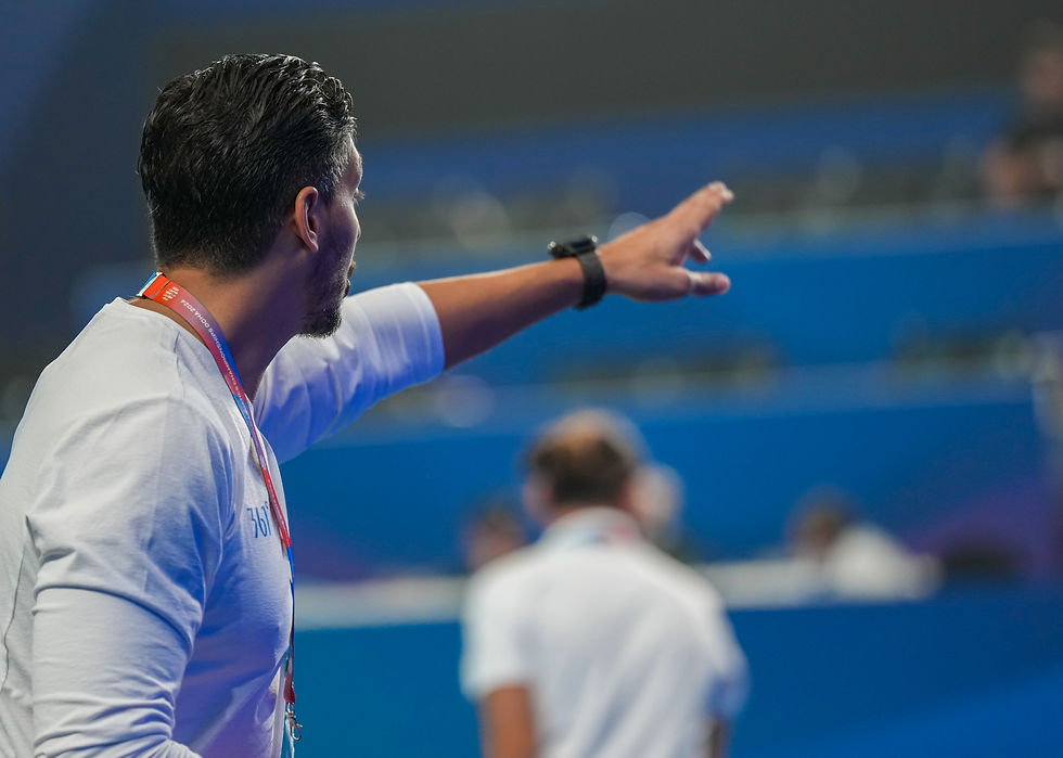 Organizing Mega Sport Events