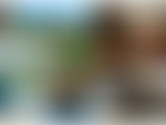 Transformation im Paradies:                   Dein Weg zur Persönlichkeitsfindung im Ayahuasca Retreat Brazil