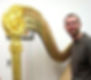 Harp Photo 3_edited