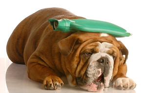 Headache