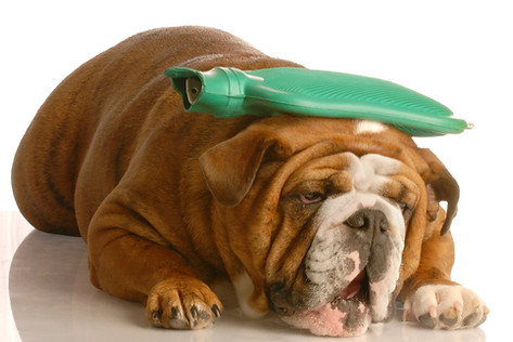 Headache