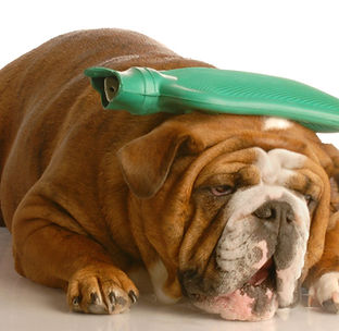 Headache