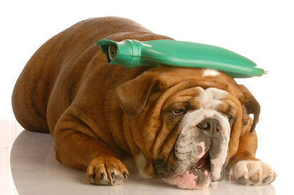 Headache