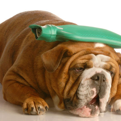 Have you got a headache?