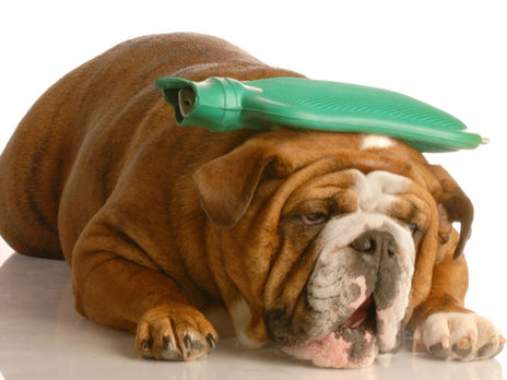 Headaches at work? 3 simple exercises every desk worker should know