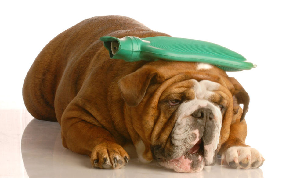 Headaches at work? 3 simple exercises every desk worker should know