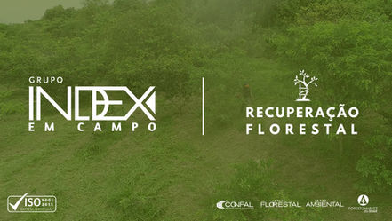 agência de marketing b2b na indústria florestal