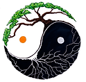 Four Branches Health Solutions