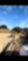 IMG_4217.PNG