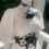 Thumbnail: Cow print corset belt
