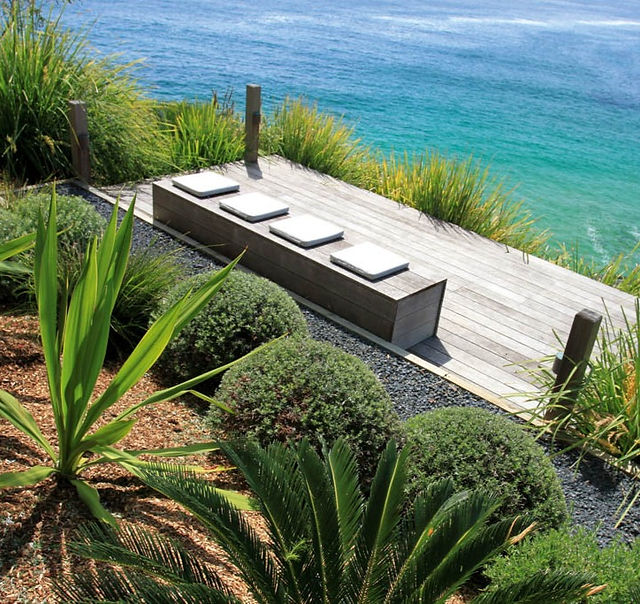 Landscape garden with path