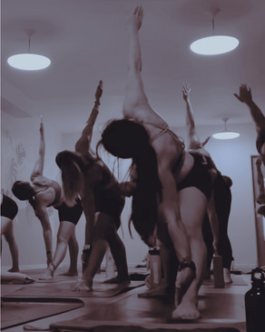 Yoga for WELLbeing                                        