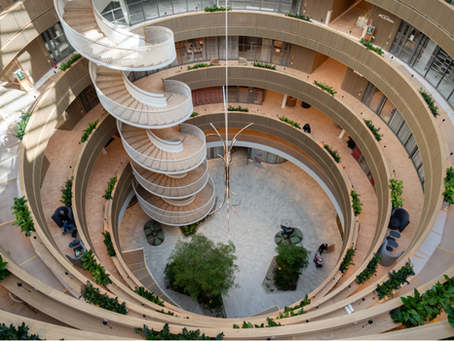 Space for WELLbeing