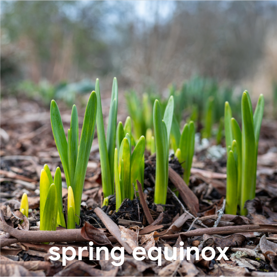 Synchronise with the Seasons - Spring Equinox  