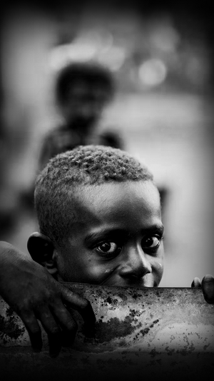 Donate vitality to the world