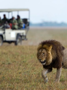 Kafue National Park Day Trip: Everything You Need to Know