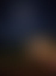 Outdoor Cinema Nights in Lusaka: A Unique Movie Experience