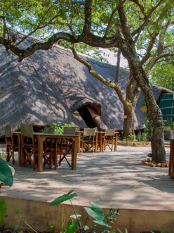 Escaping the Capital’s Rhythm: Your Guide to Camping and Picnic Spots Near Lusaka