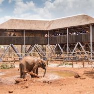 Day Trips from Lusaka: Hiking trails, Safaris, and scenic escapes