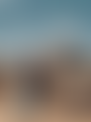 Chaminuka Lodge: A Haven of Zambian Heritage & Wilderness