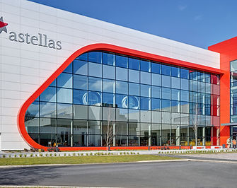 Astellas Pharmaceutical