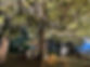 IMG_8332.JPEG