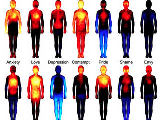 El Efecto de las Emociones en Nuestro Cuerpo.