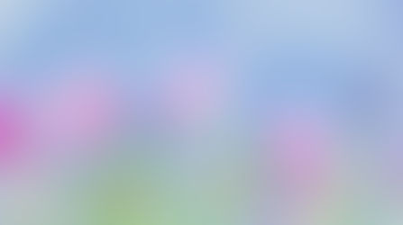 ¿Qué es la Terapia Floral?