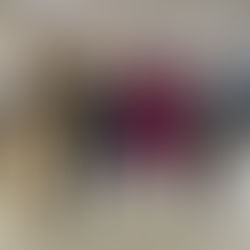 Representantes da Rede e do Pontão marcam presença no Seminário Nacional “Por uma Cultura Popular no Campo”