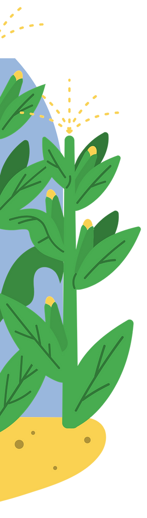 Cópia de card ediais final (Post para Instagram (45)) (1)_edited.png