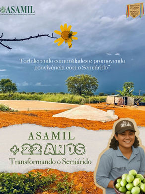 Organizações da Rede: Entenda como funciona a Associação do Semiárido da Microrregião de Livramento (ASAMIL)